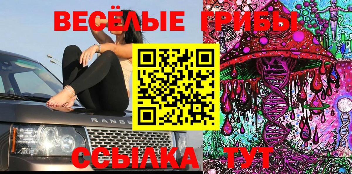 Галлюциногенные грибы Cubensis  Псилоцибиновые грибы GOLDEN TEACHER  Кандалакша  Вход с VPN 