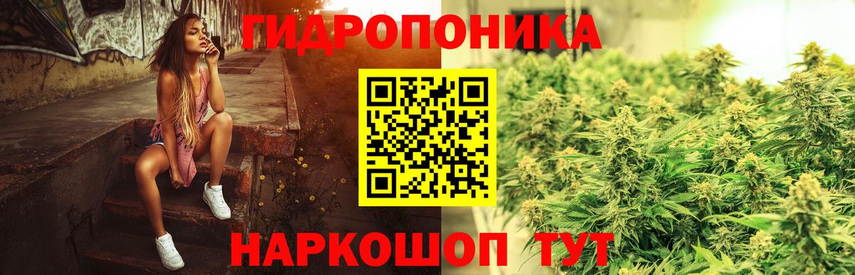Канабис планчик  Вход с VPN  Бошки Шишки тримм  Кандалакша 